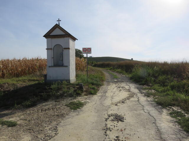 pilone uscendo da Villa