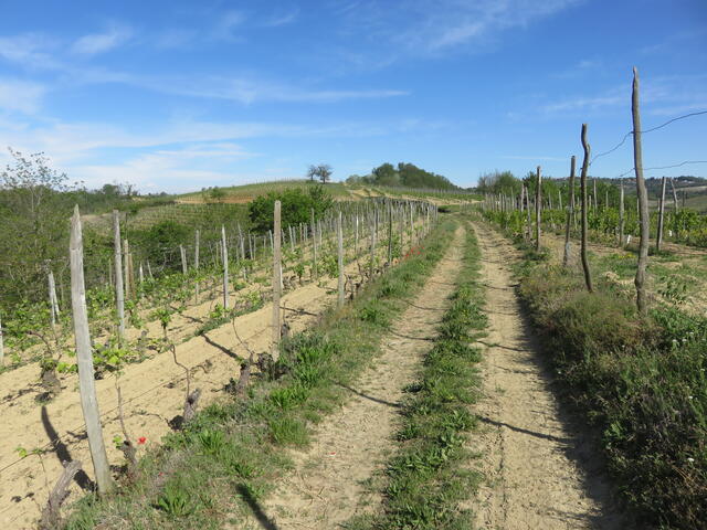 la dorsale verso cascina Miretti