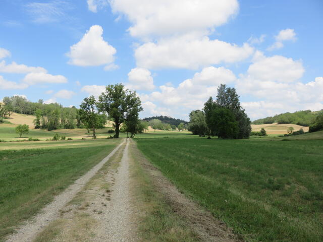 sterrato verso Montemagno