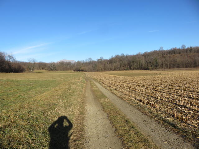 una delle numerose strade della collina morenica